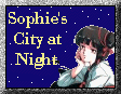 Sophie's City At Night